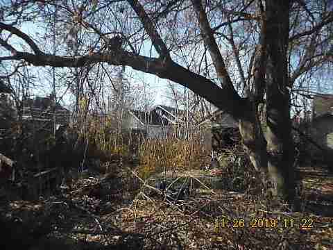 13919 Marlowe (4)_m.jpg